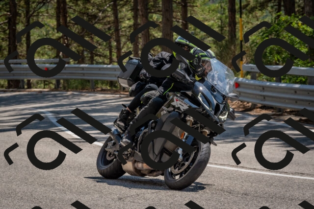 202508091411-DSC_3358_c4_