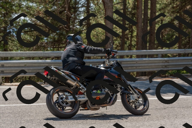 202508091412-DSC_3365_c4_