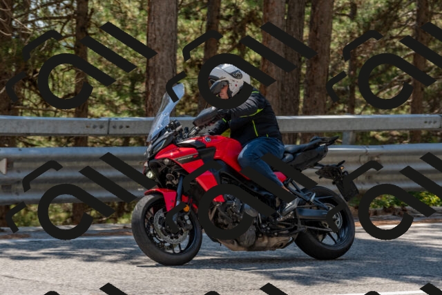 202508091414-DSC_3372_c4_