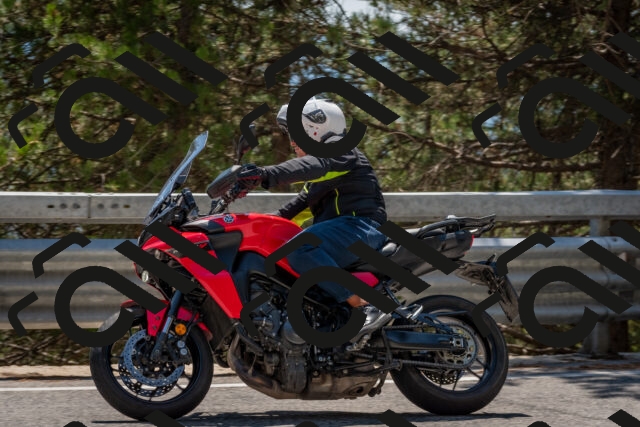 202508091414-DSC_3373_c4_