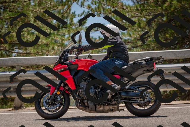 202508091414-DSC_3374_c4_