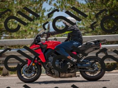 202508091414-DSC_3374_c4_