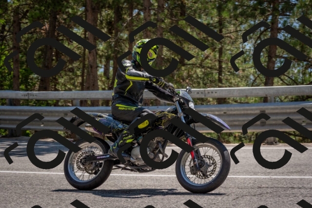 202508091415-DSC_3377_c4_