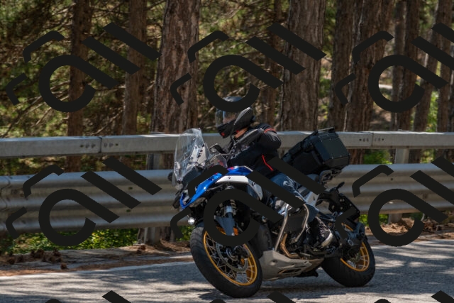 202508091418-DSC_3379_c4_