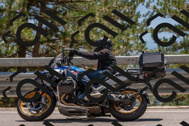 202508091418-DSC_3381_c4_