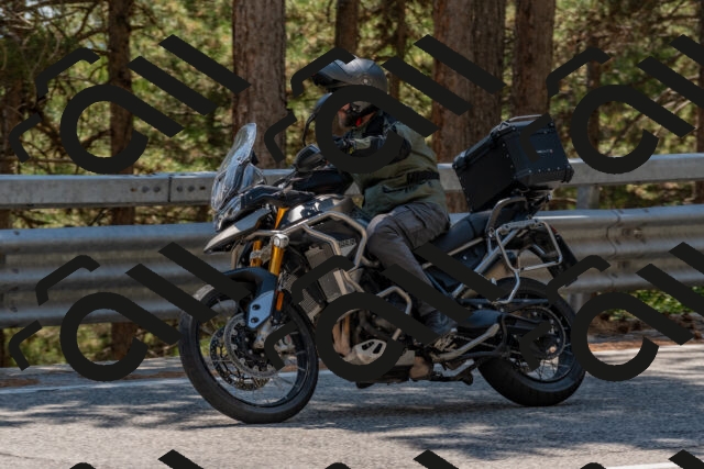 202508091418-DSC_3383_c4_