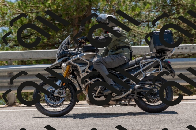 202508091418-DSC_3384_c4_