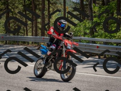 202508091420-DSC_3386_c4_