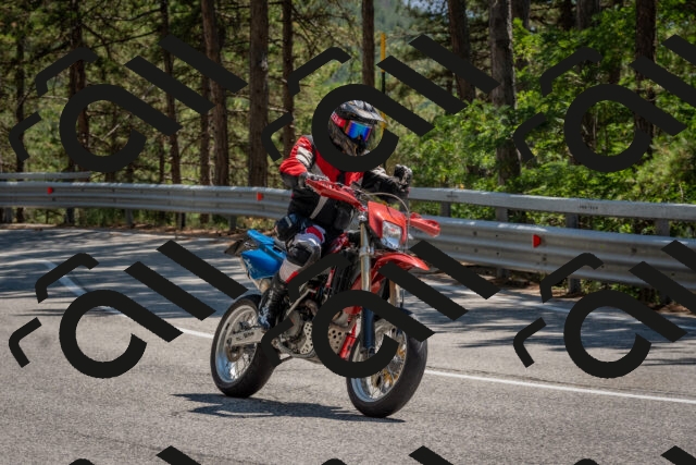 202508091420-DSC_3386_c4_