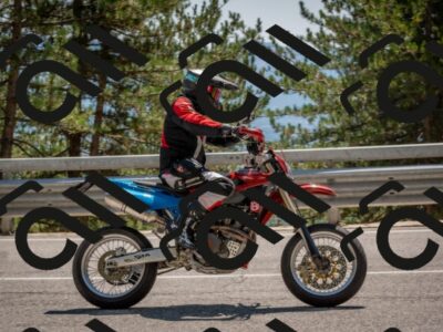 202508091420-DSC_3388_c4_