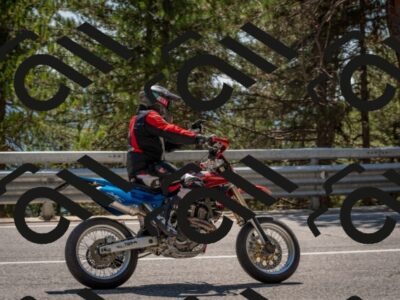 202508091420-DSC_3389_c4_