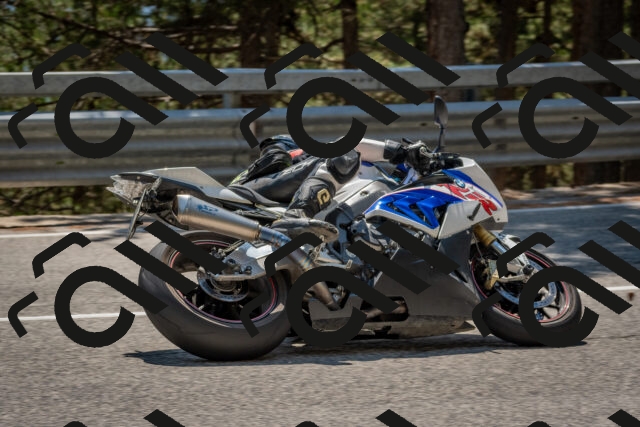 202508091421-DSC_3392_c4_