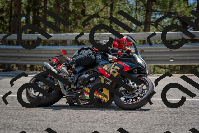 202508091421-DSC_3394_c4_