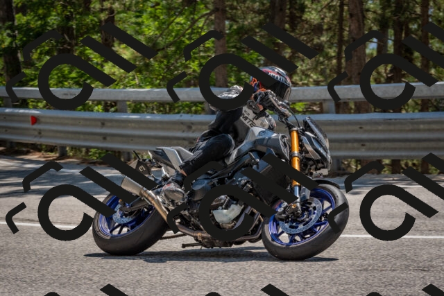 202508091421-DSC_3397_c4_