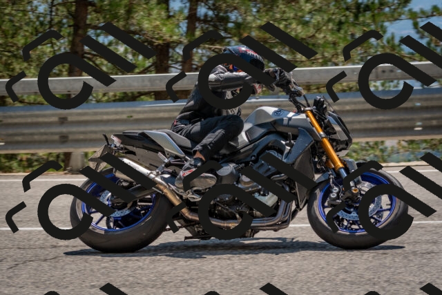 202508091421-DSC_3398_c4_