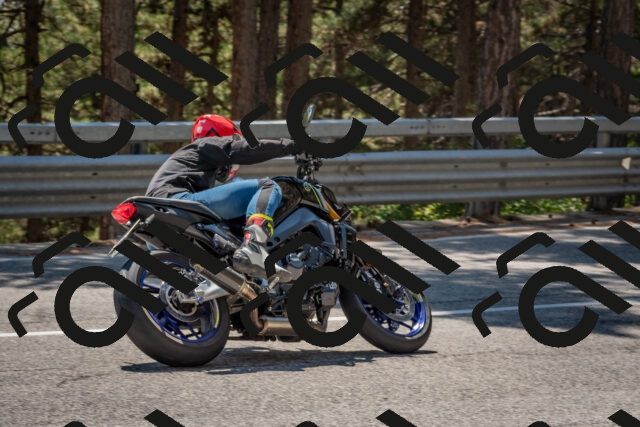 202508091421-DSC_3402_c4_