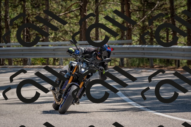 202508091421-DSC_3403_c4_