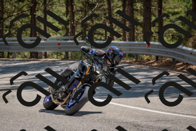 202508091421-DSC_3404_c4_