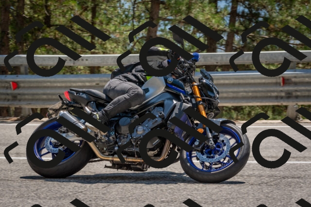 202508091421-DSC_3406_c4_