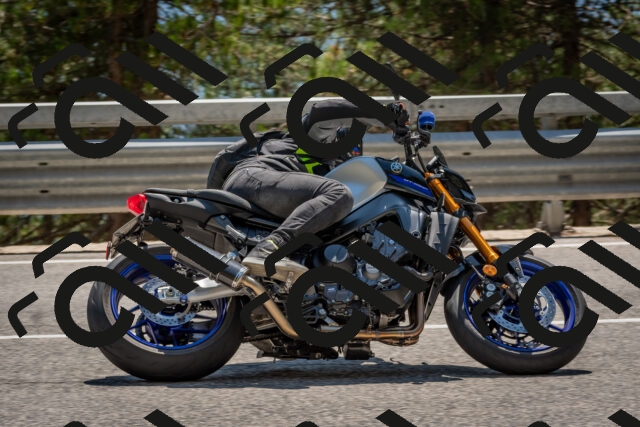 202508091421-DSC_3407_c4_