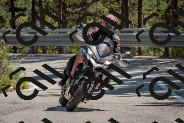 202508091421-DSC_3408_c4_