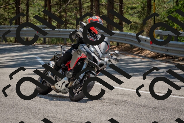 202508091421-DSC_3409_c4_