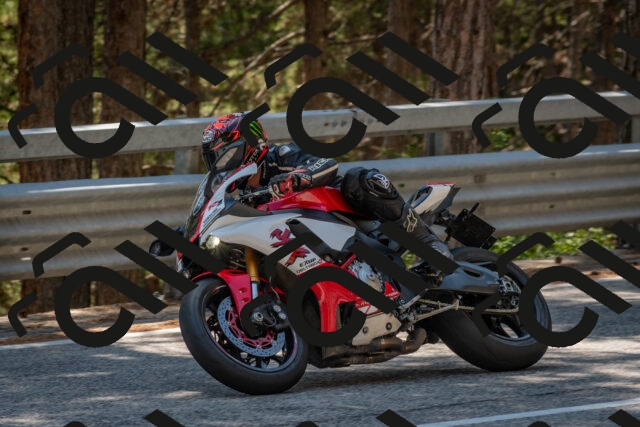 202508091422-DSC_3413_c4_