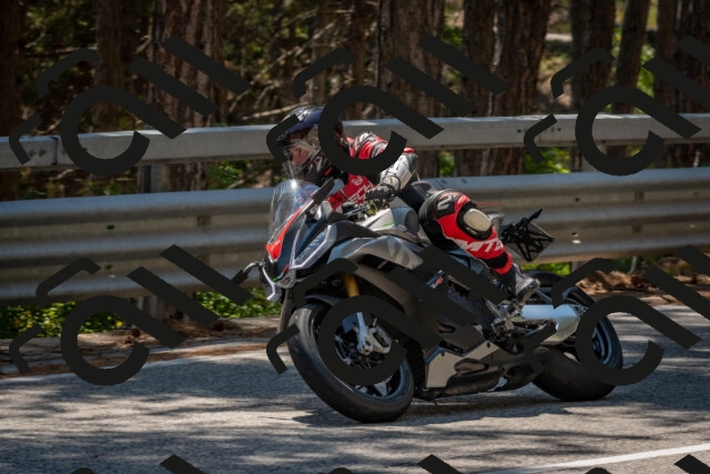 202508091422-DSC_3417_c4_