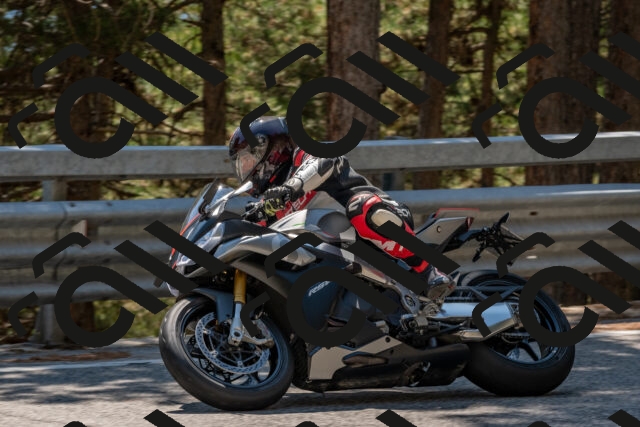 202508091422-DSC_3418_c4_