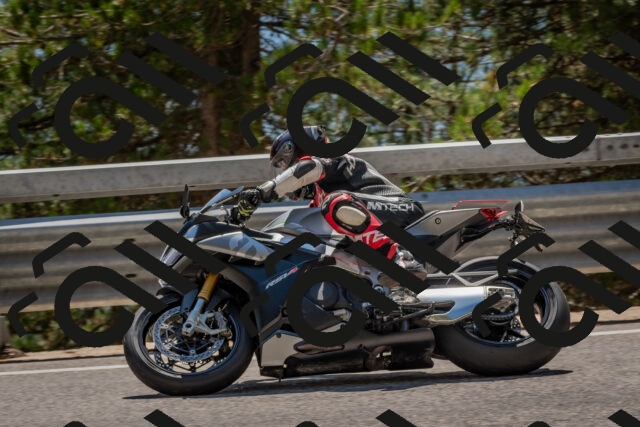 202508091422-DSC_3419_c4_