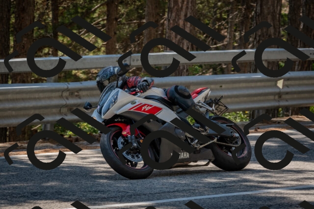 202508091422-DSC_3420_c4_