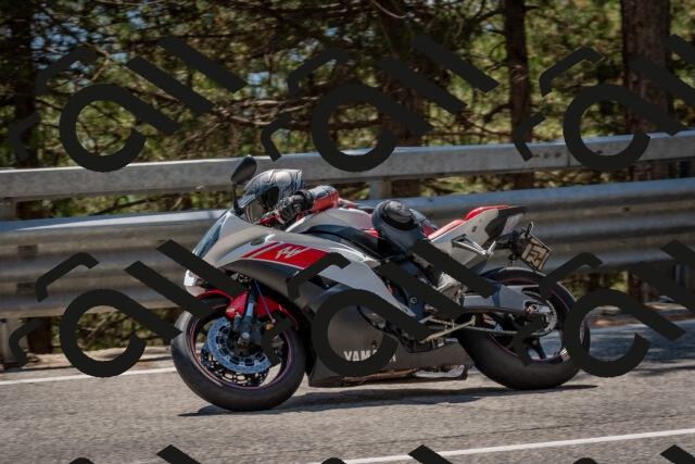 202508091422-DSC_3421_c4_