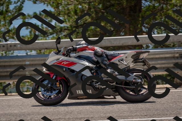 202508091422-DSC_3422_c4_