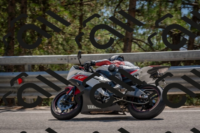 202508091422-DSC_3423_c4_