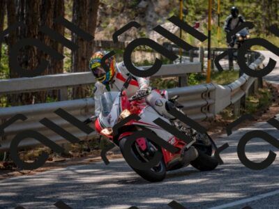 202508091422-DSC_3424_c4_