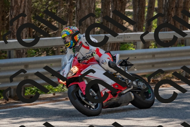 202508091422-DSC_3425_c4_