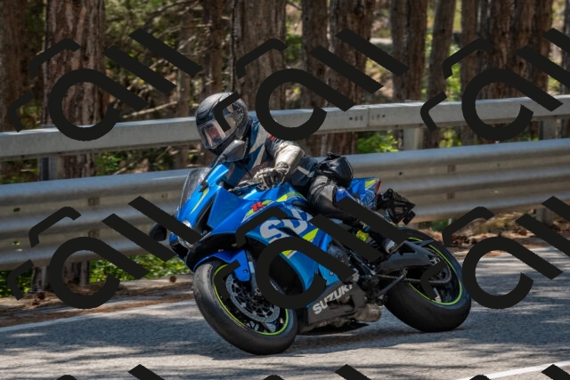 202508091422-DSC_3426_c4_