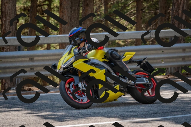 202508091422-DSC_3428_c4_