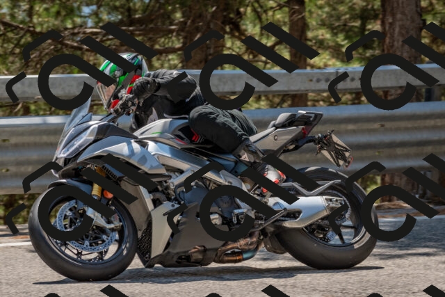 202508091422-DSC_3430_c4_