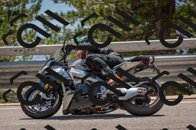 202508091422-DSC_3431_c4_