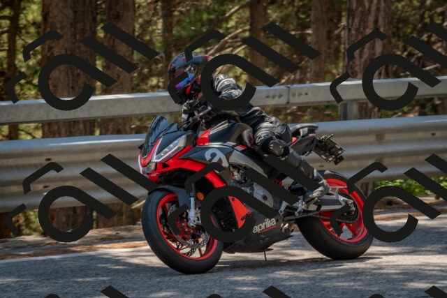 202508091423-DSC_3436_c4_