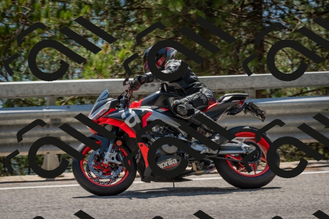 202508091423-DSC_3437_c4_