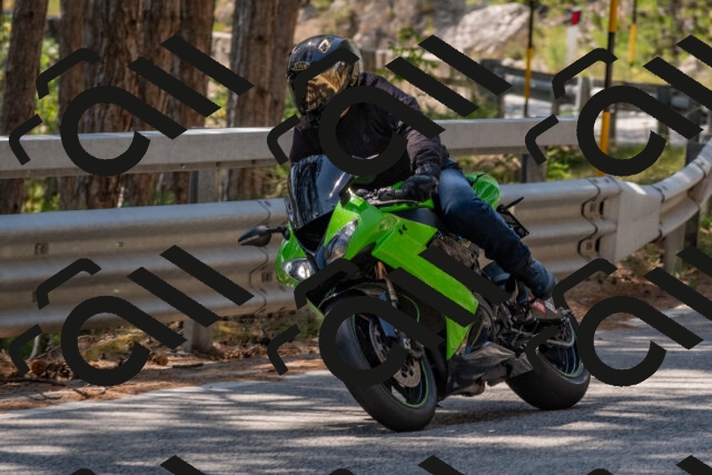 202508091423-DSC_3439_c4_