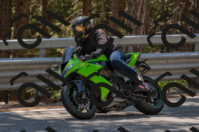 202508091423-DSC_3440_c4_