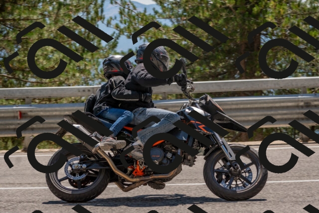 202508091423-DSC_3445_c4_