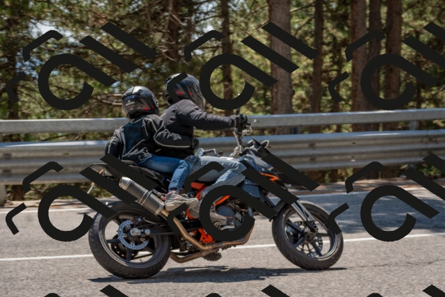 202508091423-DSC_3446_c4_