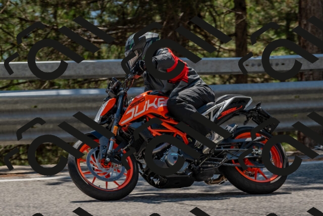 202508091424-DSC_3450_c4_