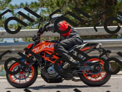 202508091424-DSC_3451_c4_