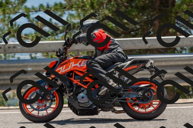 202508091424-DSC_3451_c4_