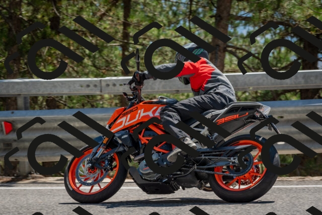 202508091424-DSC_3452_c4_